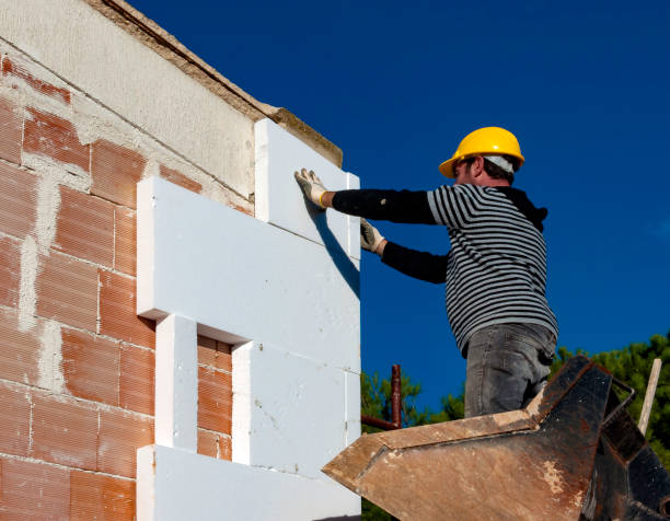 Best Soundproof Insulation Installation  in Rushvle, IL