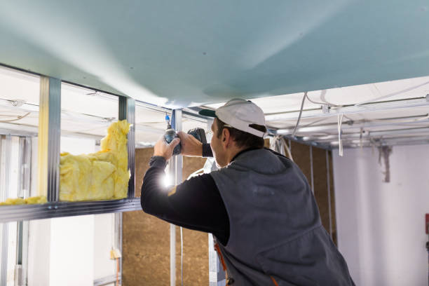 Best Best Insulation Companies  in Rushvle, IL