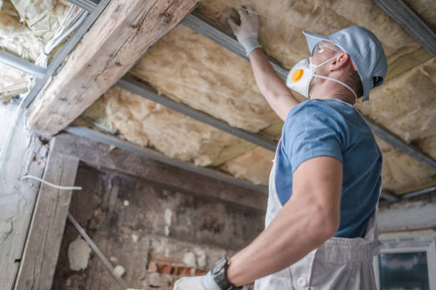 Insulation Inspection Services in Rushville, IL