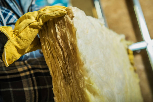 Best Attic Insulation Installation  in Rushvle, IL