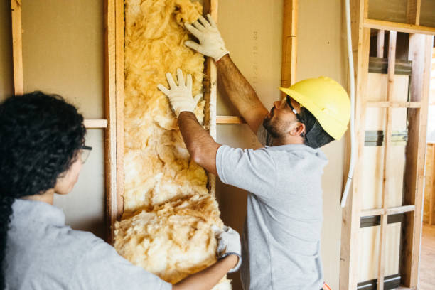 Best Wall Insulation Contractor  in Rushvle, IL