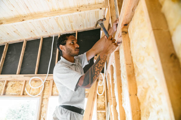 Best Wall Insulation Contractor  in Rushvle, IL