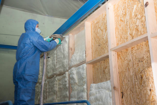 Best Insulation Repair Services  in Rushvle, IL