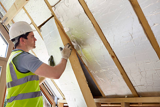 Best Insulation for New Construction  in Rushvle, IL