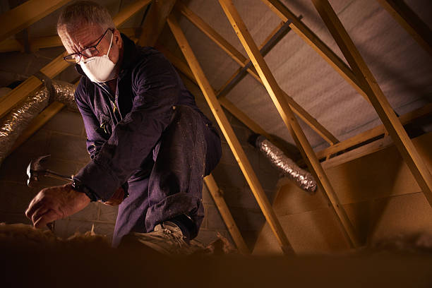 Best Professional Insulation Contractor  in Rushvle, IL