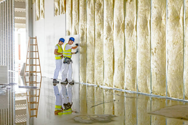 Best Attic Insulation Installation  in Rushvle, IL